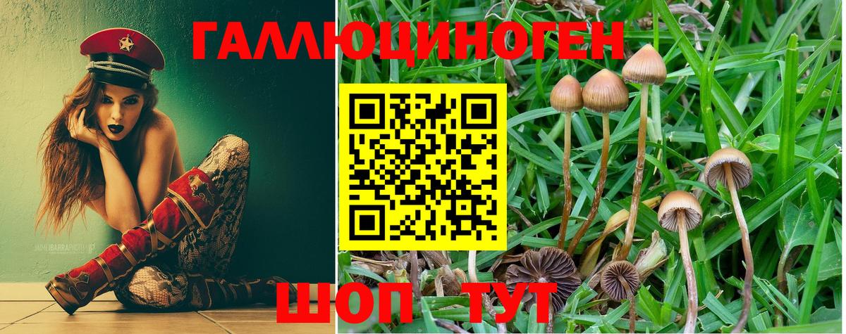 Псилоцибиновые грибы мицелий Гай