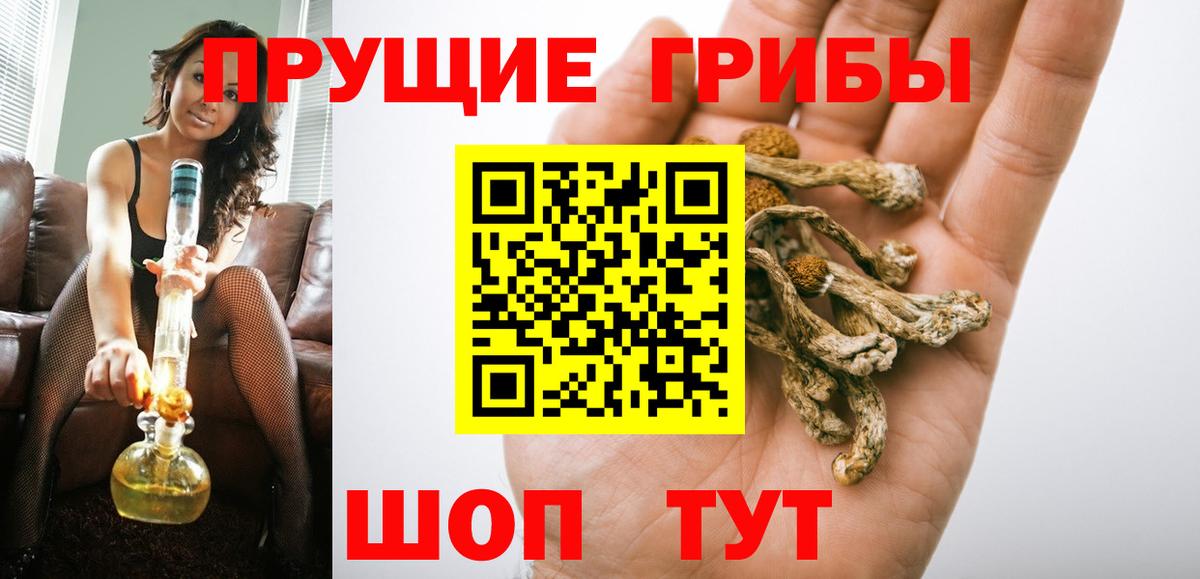 Галлюциногенные грибы мухоморы  Псилоцибиновые грибы Psilocybe  Вход с VPN  Гай 